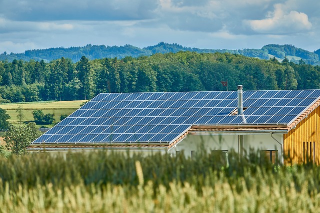 Den komplette guide til solceller, herunder fordele og ulemper ved solenergi