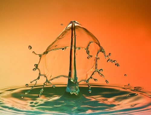 De skjulte funktioner i adr.dk – guide til avancerede brugere