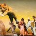 Katteurt: Fra traditionel medicin til moderne katteleg - en rejse gennem historien